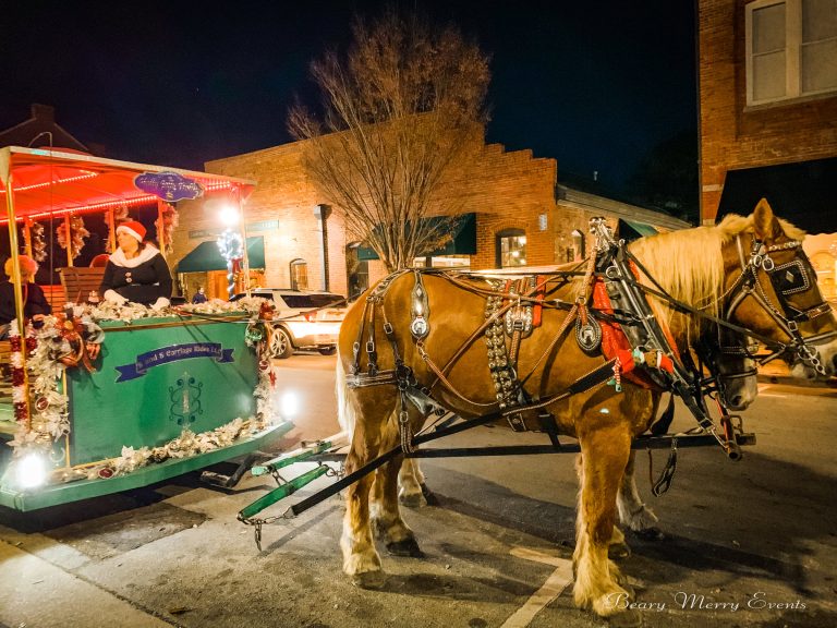 copy-of-reservations-beary-merry-events